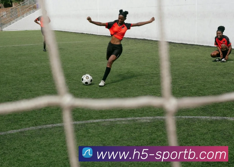 B体育平台生态图